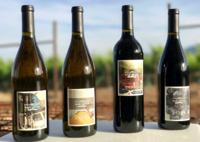 Award winning wines produced by students